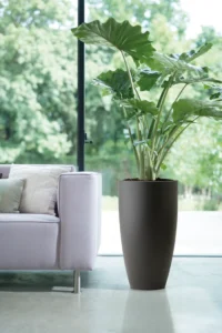 Pure Soft Round High Anthracite v50 egarden.store online