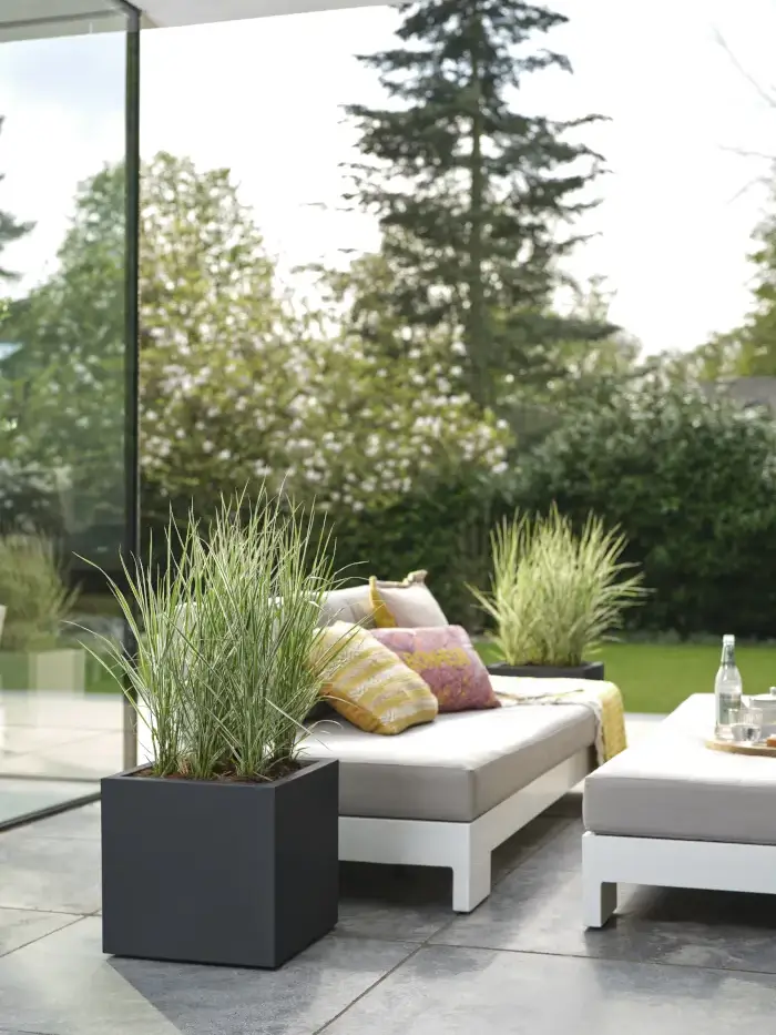 Vivo Next Square Black v40 egarden.store online