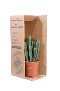 Marginatocereus Marginatus v17 egarden.store online