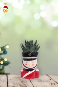 Aloe Segnaposto Opzione 1 v.6 egarden.store 1 Aloe Segnaposto Opzione 1 v.6 egarden.store online