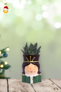 Aloe Segnaposto Opzione 2 v.6 egarden.store 1 Aloe Segnaposto Opzione 2 v.6 egarden.store online