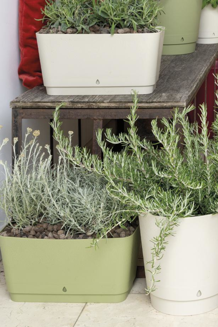 Cassetta Dune egarden.store online