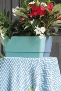 Cassetta Plissè - Deroma egarden.store online