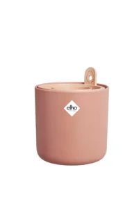 Amazing Avocado Pot Toffee v12 egarden.store 1 Amazing Avocado Pot Toffee v12 egarden.store online