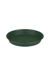 Green Basic Saucer Leaf Green egarden.store online