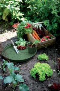 Green Basic Saucer Leaf Green egarden.store online