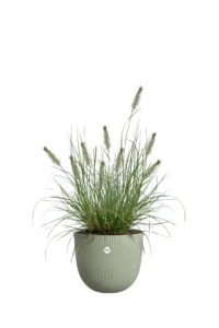 Vaso Sereh Round Nordic Green egarden.store 3 Vaso Sereh Round Nordic Green egarden.store online