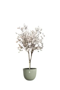 Vaso Sereh Round Nordic Green egarden.store 4 Vaso Sereh Round Nordic Green egarden.store online