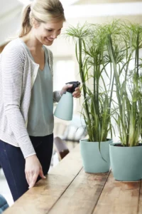 Vaso brussels round Sorbet Green v10 egarden.store online