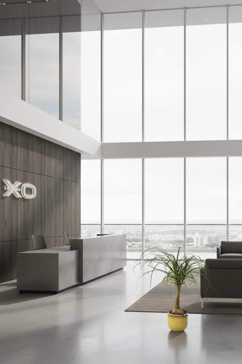 Pianta Mangiafumo - Beaucarnea Recurvata v20 Betume Yellow v21 egarden.store Ufficio 1 Pianta Mangiafumo - Beaucarnea Recurvata