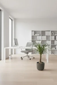 Pianta Mangiafumo - Beaucarnea Recurvata v20 Striped Vase Grey v21 egarden.store Ufficio 1 Pianta Mangiafumo - Beaucarnea Recurvata v20 Striped Vase Grey v21 egarden.store Ufficio online