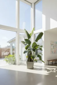 Strelitzia Nicolai v30 Origin Quadro Grigio v38 egarden.store Casa online