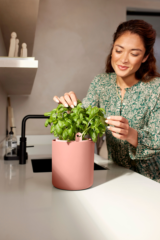 Vaso Bouncy Basil - Elho - Varie Colorazioni