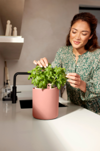 Vaso Bouncy Basil - Elho - Varie Colorazioni