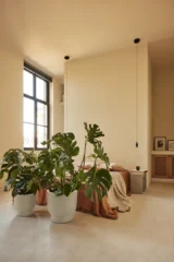 Vaso Amber Grail v40 egarden.store online