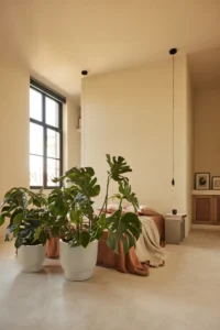 Vaso Amber Grail v40 egarden.store online