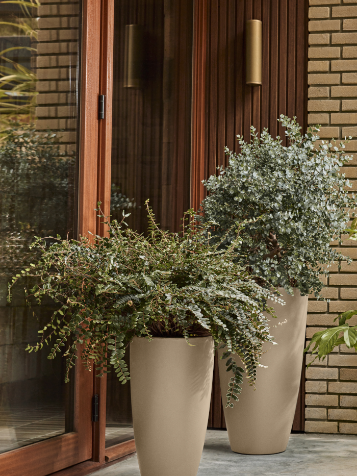 Vaso June Round High - Elho - Varie Colorazioni