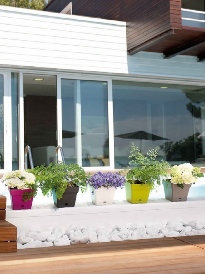 Vaso Quadro Save Deroma egarden.store online