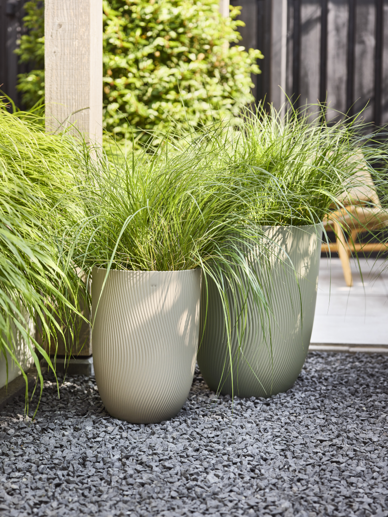 Vaso Sereh High egarden.store online vendita