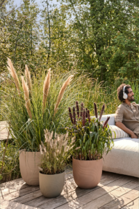 Vaso Sereh Round egarden.store online