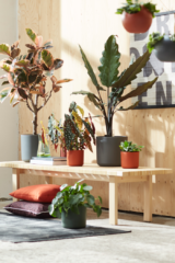 Vaso b.for soft round egarden.store online