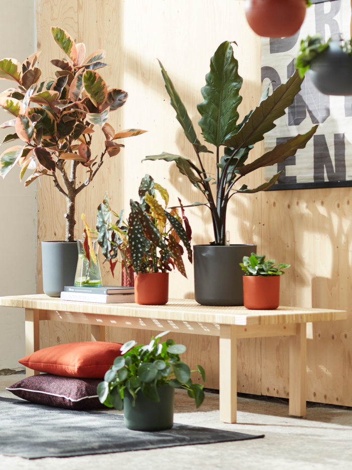 Vaso b.for soft round egarden.store online