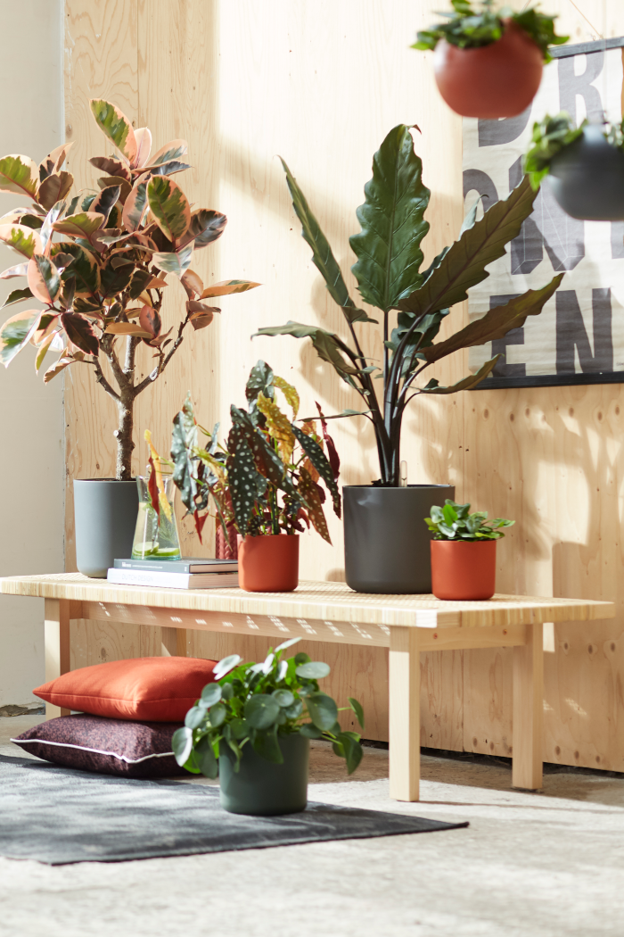 Vaso b.for soft round egarden.store online