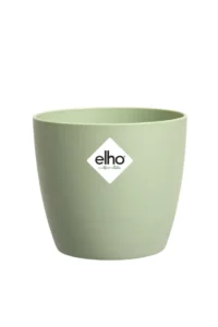 Vaso brussels round Sorbet Green v10 egarden.store online