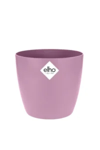 Vaso brussels round Vivid Violet v10 egarden.store online