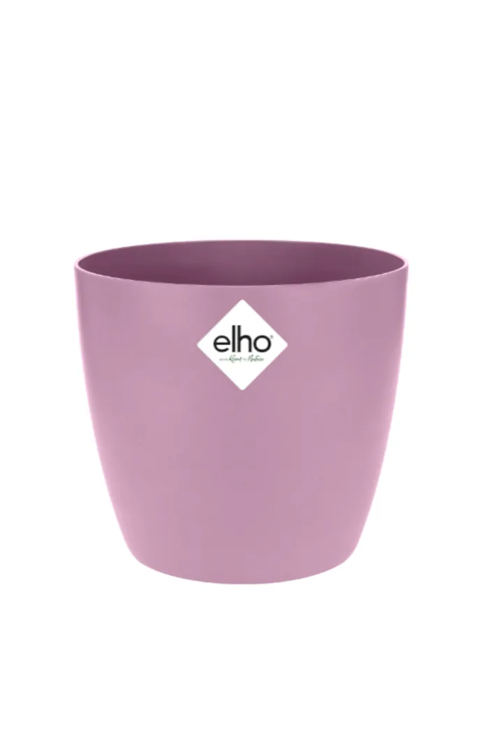 Vaso brussels round Vivid Violet v10 egarden.store online