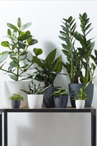 Vaso brussels round egarden.store 1 Vaso brussels round egarden.store online