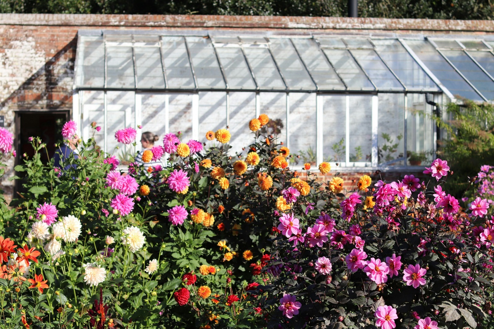 piante_da_esterno_home_new