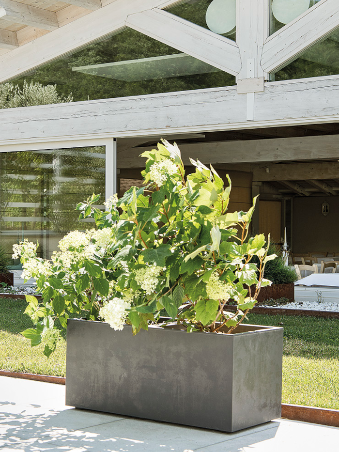 Cassetta Millennium - Deroma - Varie Colorazioni