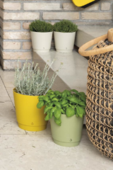 Vaso Dune egarden.store online