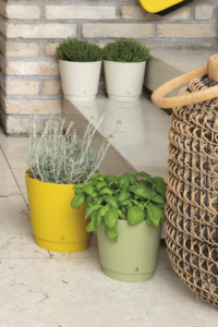 Vaso Dune egarden.store online