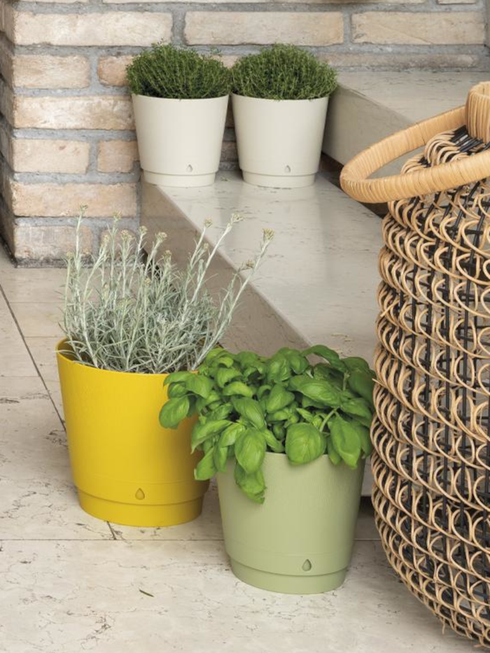 Vaso Dune egarden.store online