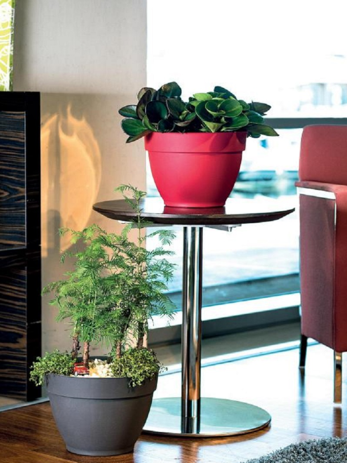 Vaso Ninfea - Deroma egarden.store online