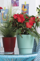 Vaso Plissè - Deroma egarden.store online