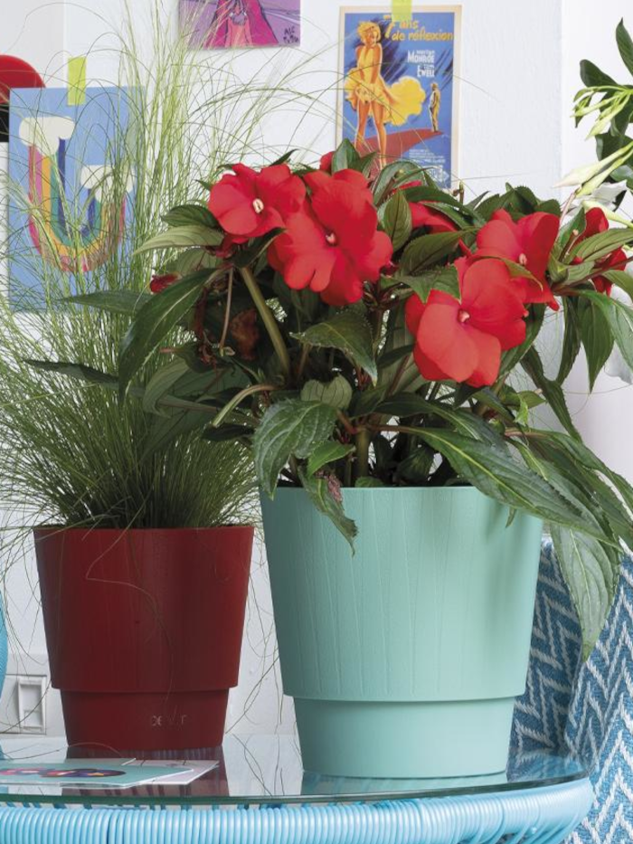 Vaso Plissè - Deroma egarden.store online