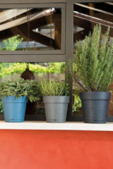 Vaso Save - Deroma - Varie Colorazioni