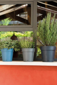 Vaso Save - Deroma - Varie Colorazioni