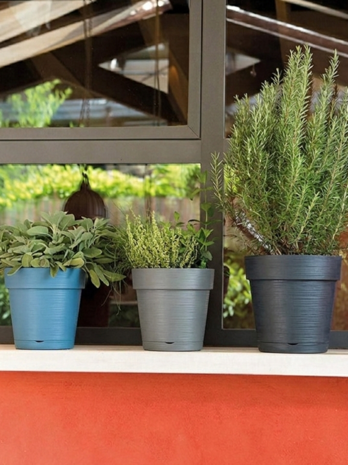 Vaso Save - Deroma - Varie Colorazioni