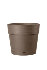 vaso save camel egarden.store online